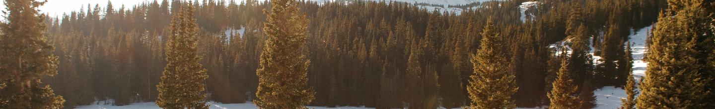 Colorado landscape with mountains