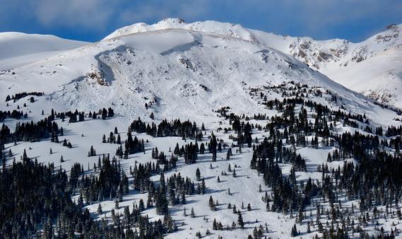 Very large avalanche on the face of a mountain with trees lower down on the slope. 