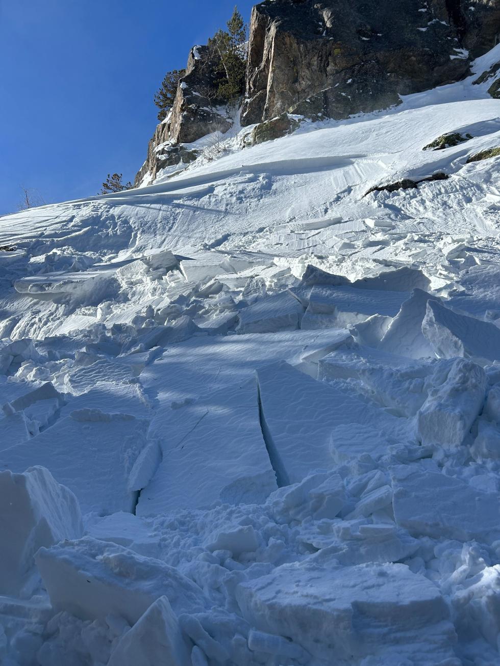 Close up of avalanche debris on a small steep slope.