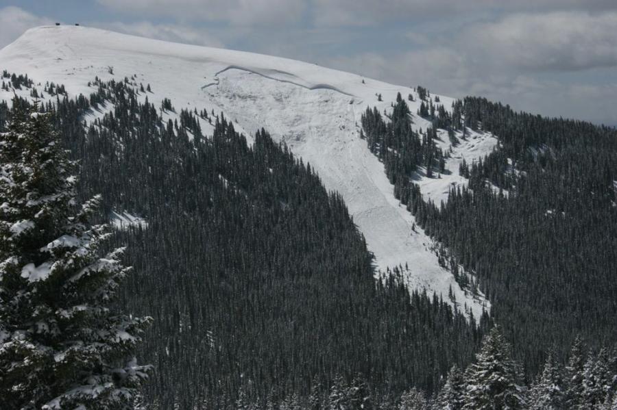 Ptarmigan accident